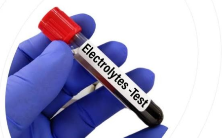 What Determines the Electrolyte Test Price