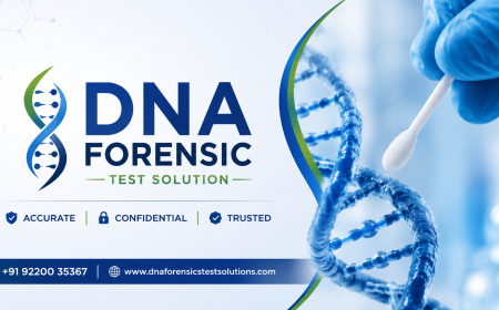 DNA Test: Complete Guide for First-Time Users