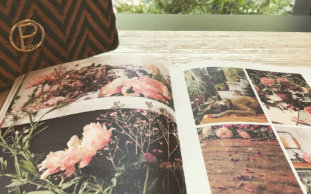 Rising Popularity of Reusable Magazine Bags Fuels Growth in the Global Literature Bag Market