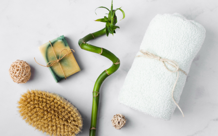 Bamboo Products Market: Consumer Demand and Industry Developments