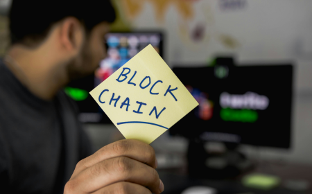 Emerging Trends in Transparent and Traceable Supply Chain Solutions