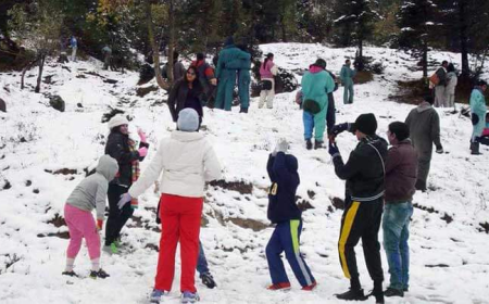 Plan Your Dream Holiday with the Best Shimla Family Package from Delhi
