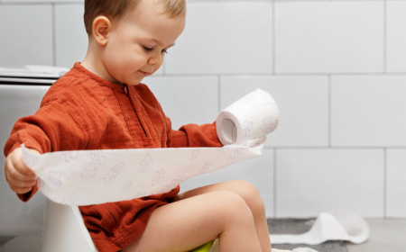Potty Training and Step Stools Market Analysis: Exploring Opportunities in the Expanding Baby Care Industry