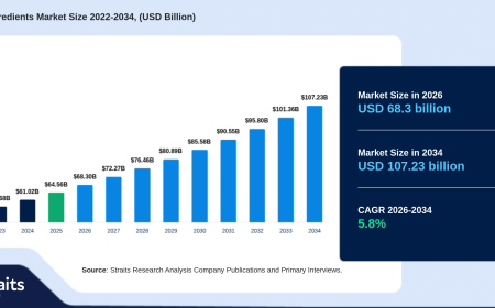 Protein Ingredients Market Revenue, Competitive Landscape, and Future Forecast 2026–2034