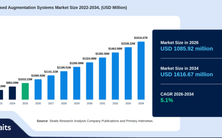 Satellite Based Augmentation Systems Market Insights: Key Drivers, Challenges, and Competitive Landscape
