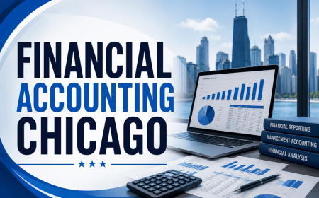 The Essential Role of Professional Accountants in Financial Planning