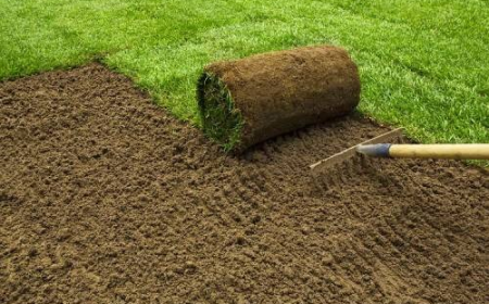 5 Signs You've Found the Right Landscaping Contractor in Sydney