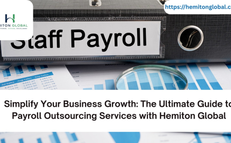 Simplify Your Business Growth: The Ultimate Guide to Payroll Outsourcing Services with Hemiton Global