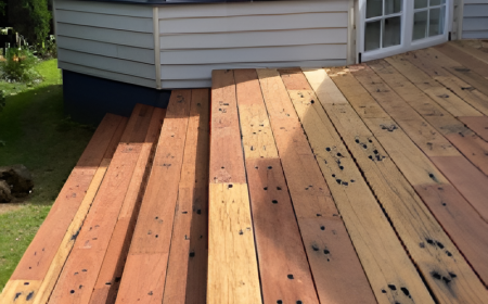 Timber Yard in Arncliffe: Sourcing Quality Timber Close to Home