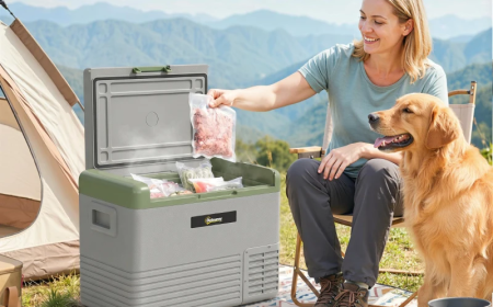 Best Camping Accessories for a Comfortable Outdoor Experience