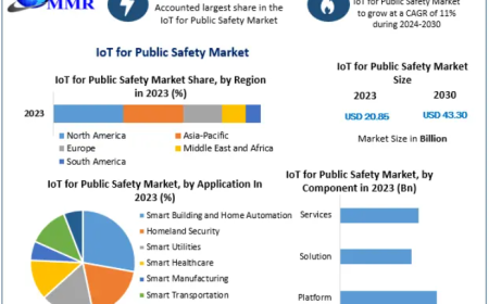 IoT for Public Safety Market Driven by Rapid Smart City Urbanization and Government Initiatives