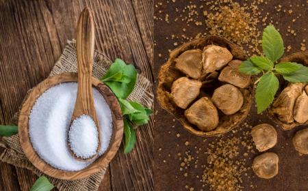 How to Choose the Best Monk Fruit Sweetener in India