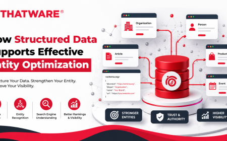 How Structured Data Supports Effective Entity Optimization