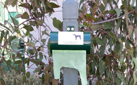 Choose Council Dog Waste Bags Solutions for Local Councils