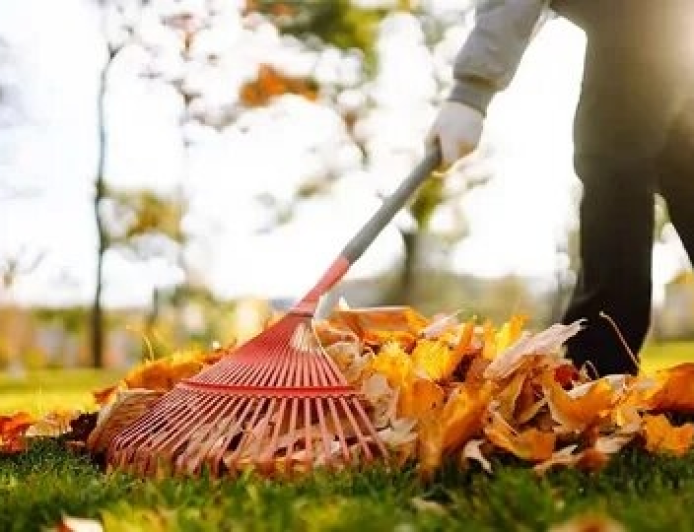 How to Choose the Best Yard Cleanup Service