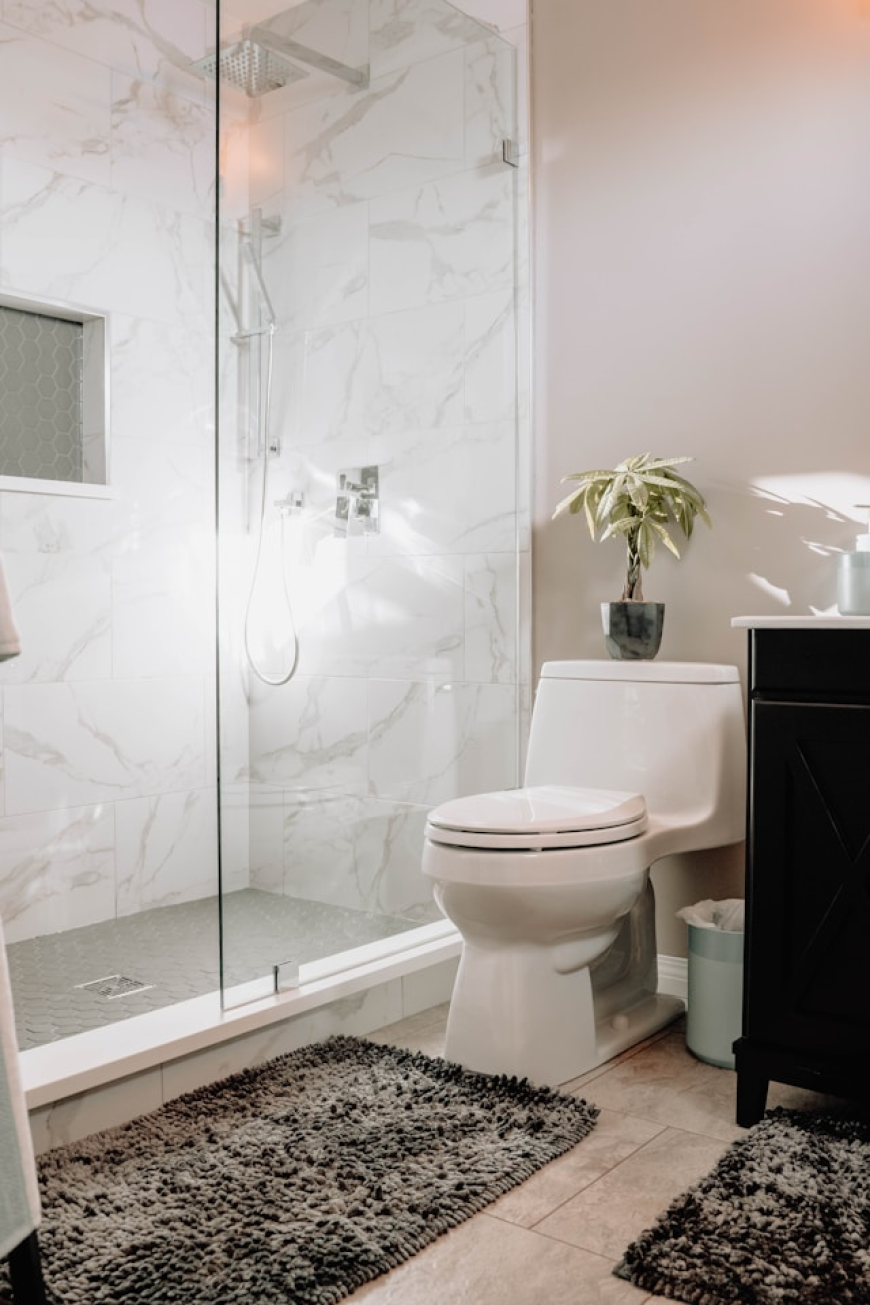 The Rise of Eco-Friendly Products in the Toilet Seat Market