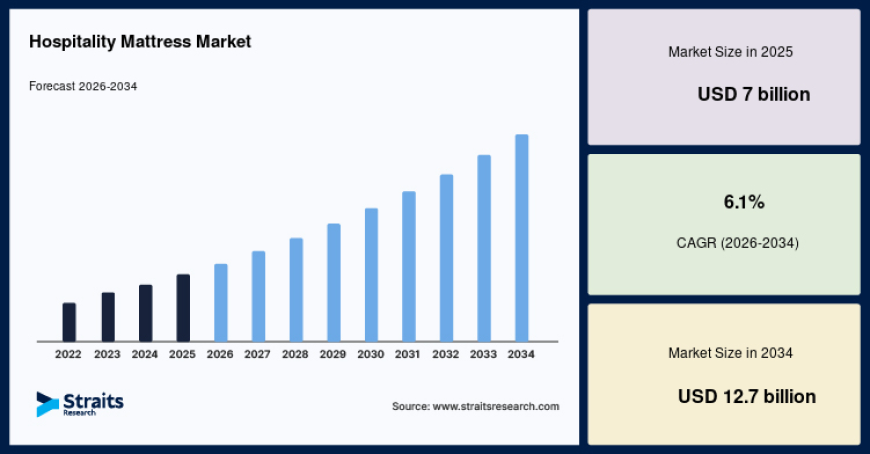 Hospitality Mattress Market Share and Growth Opportunities for Industry Leaders