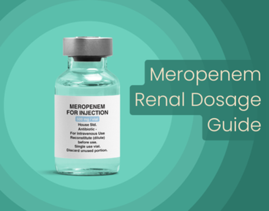 Meropenem Renal Dosing Guide - Renal Dosage