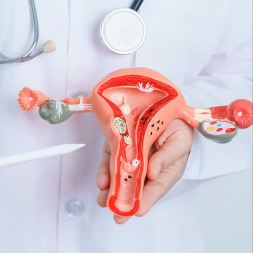 Premature Ovarian Failure Treatment In Dubai – Advanced Care for Reproductive and Hormonal Health