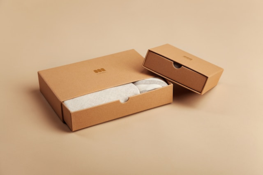The Rise of Biodegradable and Recyclable Solutions in the Eco-Friendly Packaging Market