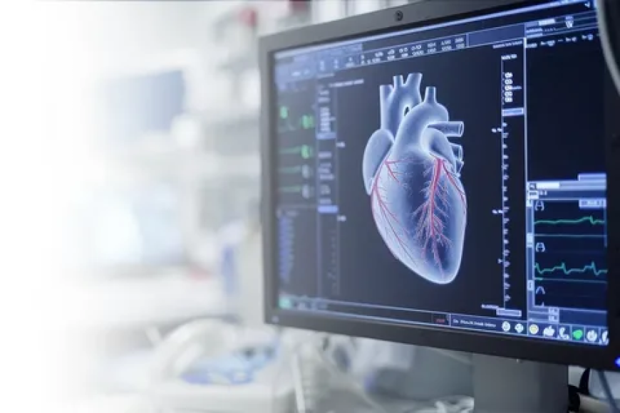 Who Provides Reliable Echo Heart Test Price in Lahore?