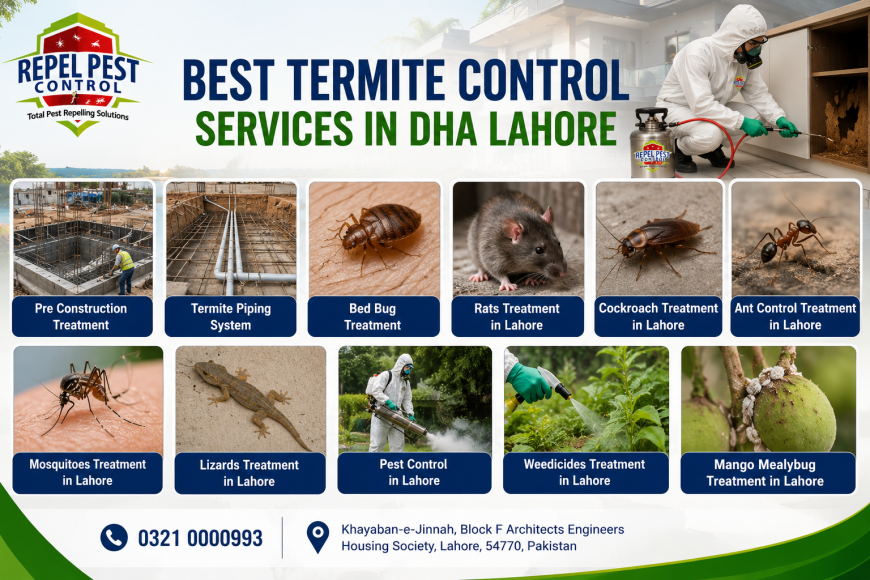 Termite Control Treatment in DHA Lahore | Professional Termite Protection Solutions