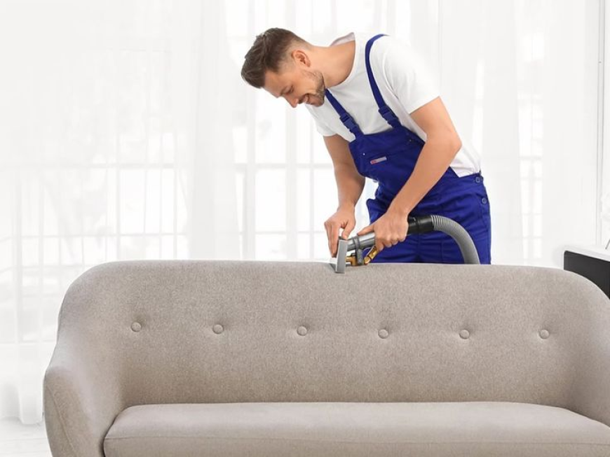 What to Expect From a Professional Carpet Cleaning Service in Lakewood