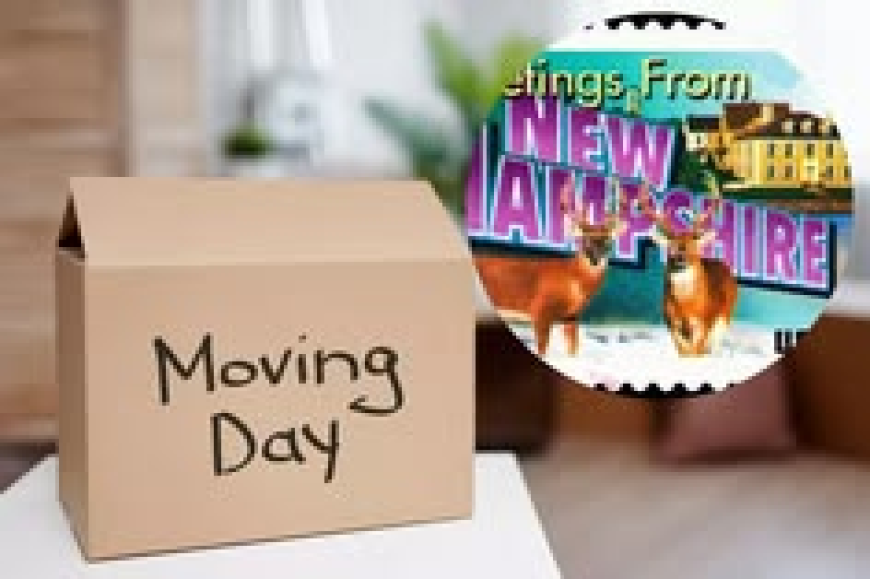 Local Movers Burlington VT: Reliable Moving Services for Homes and Businesses