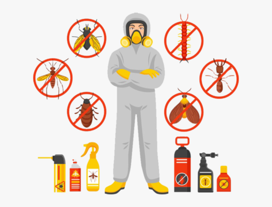 Why Pest Control Treatment in Lahore Matters More Than Ever