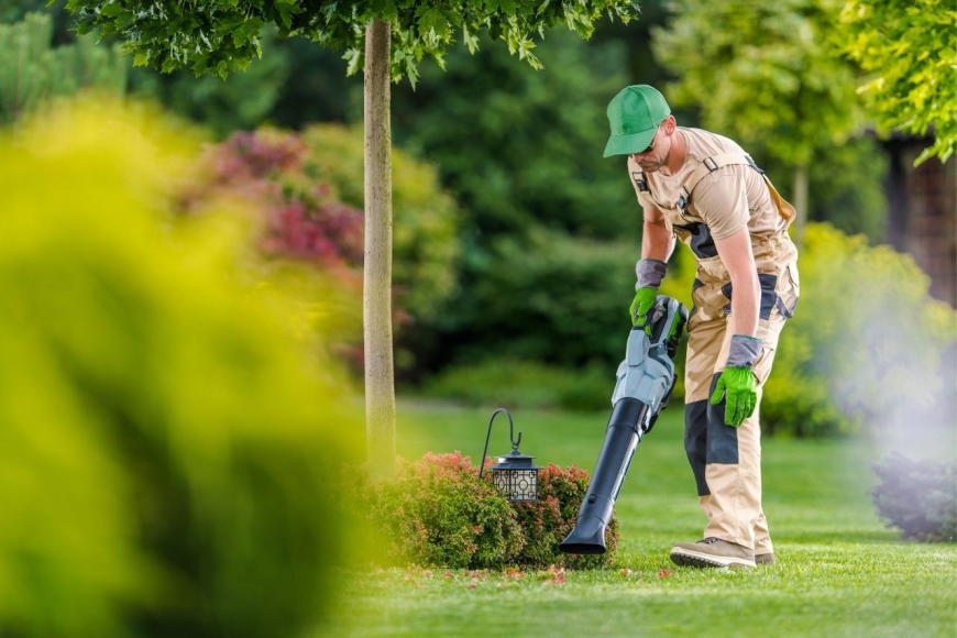 How to Choose the Best Yard Cleanup Service