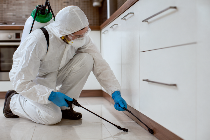 Mosquitoes Control | How to Reclaim Your Yard for Good