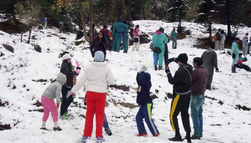 Plan Your Dream Holiday with the Best Shimla Family Package from Delhi