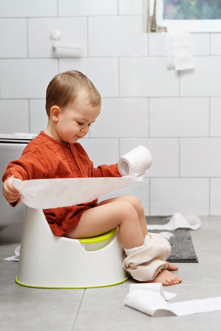 Potty Training and Step Stools Market Analysis: Exploring Opportunities in the Expanding Baby Care Industry