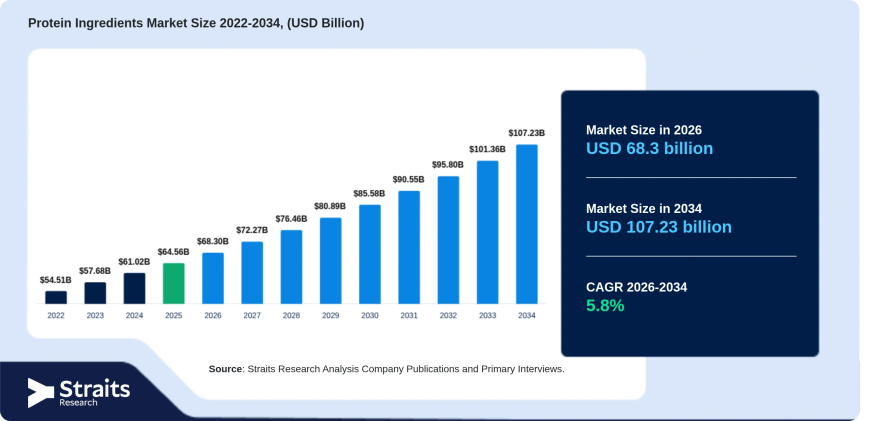 Protein Ingredients Market Revenue, Competitive Landscape, and Future Forecast 2026–2034