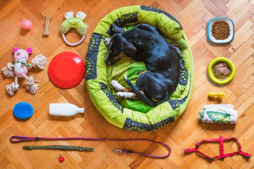 Accessories for Pets | Essential Pet Care Products Guide