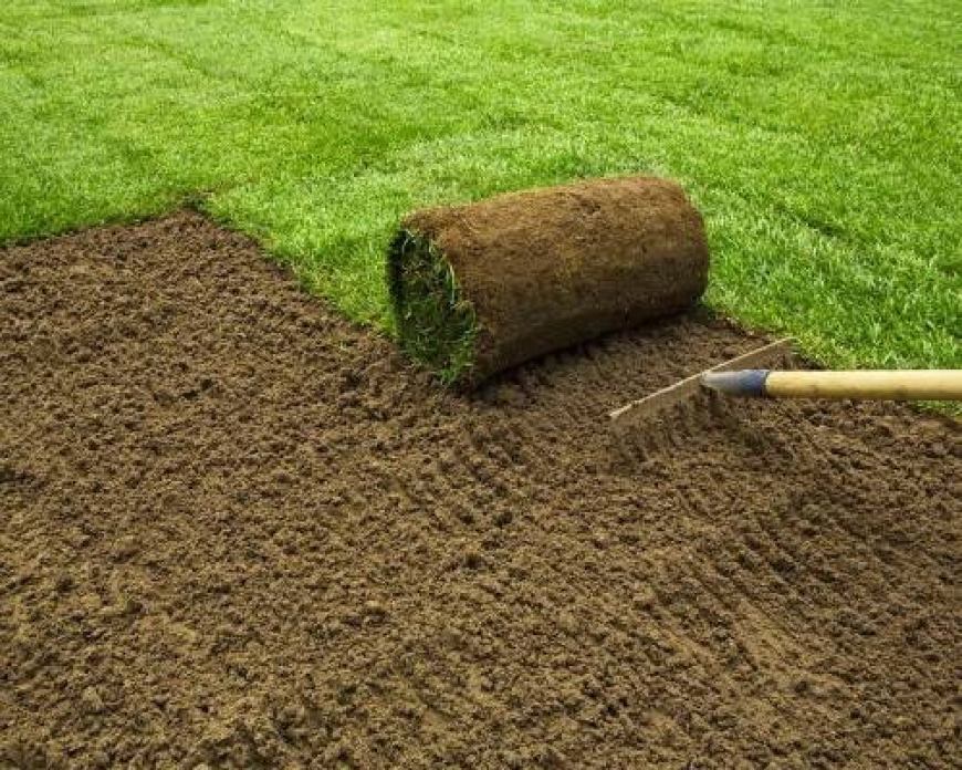 5 Signs You've Found the Right Landscaping Contractor in Sydney