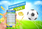 Online Sports Betting Market Industry Trends Driving Innovation and Digital Transformation