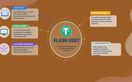 How Flash USDT Software Helps You Understand Blockchain Transaction Concepts
