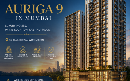 Auriga 9 in Jambli Gali: A Home in One of Borivali's Quietly Rising Lanes