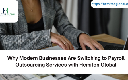 Why Modern Businesses Are Switching to Payroll Outsourcing Services with Hemiton Global
