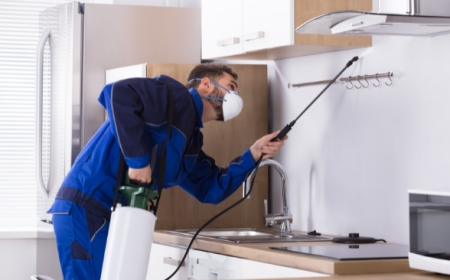 Pest Control Services & Pest Control Lahore