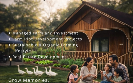 Farm Land for Sale Bangalore: What Buyers Should Check Before Choosing Managed Farmland | Delightecofarms