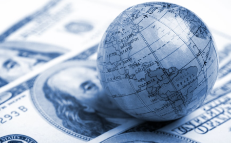 International Expansion Through Tax Haven Company Formation