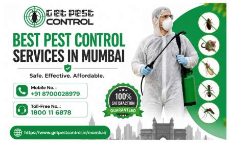 Pest Control Services in Mumbai | Free Inspection & Quotes