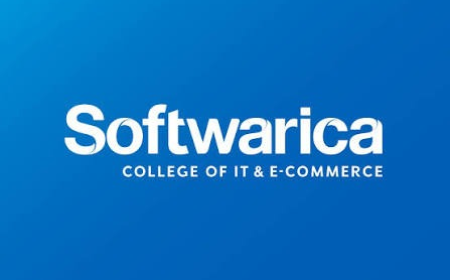 Building the Digital World: Why a Bachelor of Information Technology Opens Endless Possibilities