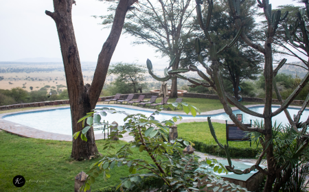 Living with the Maasai: Cultural Experiences Beyond the Safari