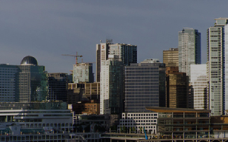 Professional Pest Control in Vancouver for Safe & Effective Pest Removal Solutions