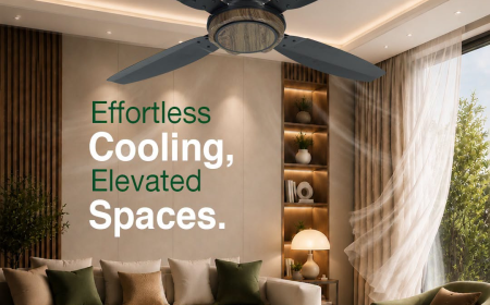 Why Is a Heritage Fan Still the Perfect Choice Alongside Modern Ceiling Fans in Pakistan?