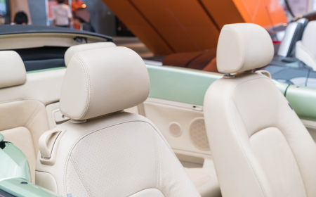 Automotive Upholstery Market Competitive Landscape