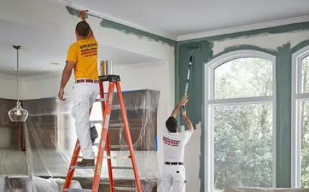 The Complete Process of Transforming Interior and Exterior Spaces With Paint